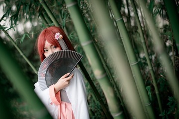 SHY_8798