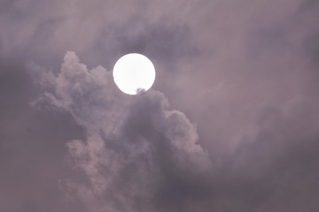 1382516