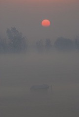 DSC_737602.jpg
