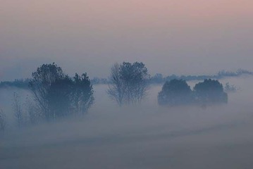 DSC_737701.jpg