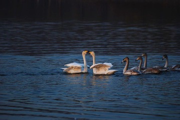 DSC_769501.jpg