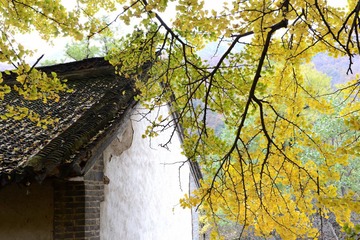 20131101 0290001