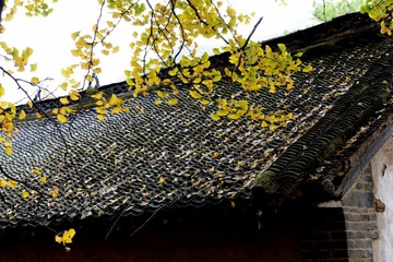 20131101 0300001