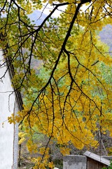 20131101 0310001