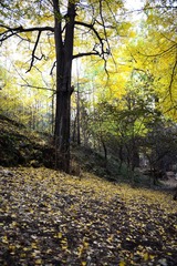 20131101 0350001