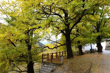20131101 0690001