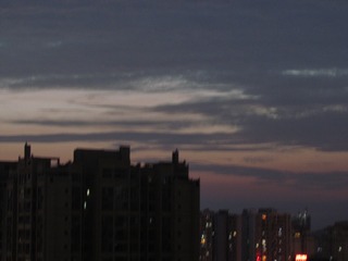 1198482