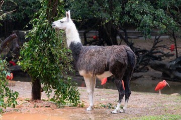 20220201-DSC08202