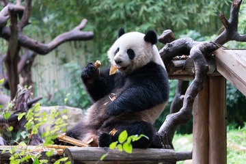 20220201-DSC08333