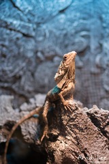 20160611-DSC02746