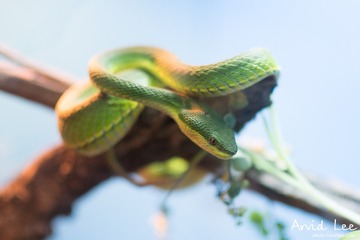 20160611-DSC02749