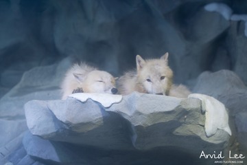 20160611-DSC02800