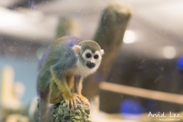 20160611-DSC02806