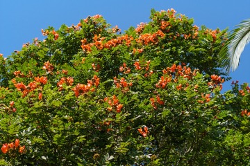 20200124-DSC06363