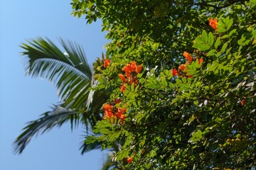 20200124-DSC06364