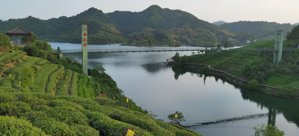 西茶谷大别山风景六安西茶谷主题公园六安瓜片产地金寨大别山六安风光
