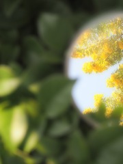 2013297
