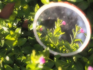 2013281