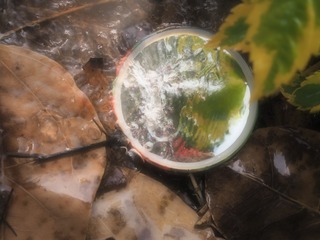 2013292