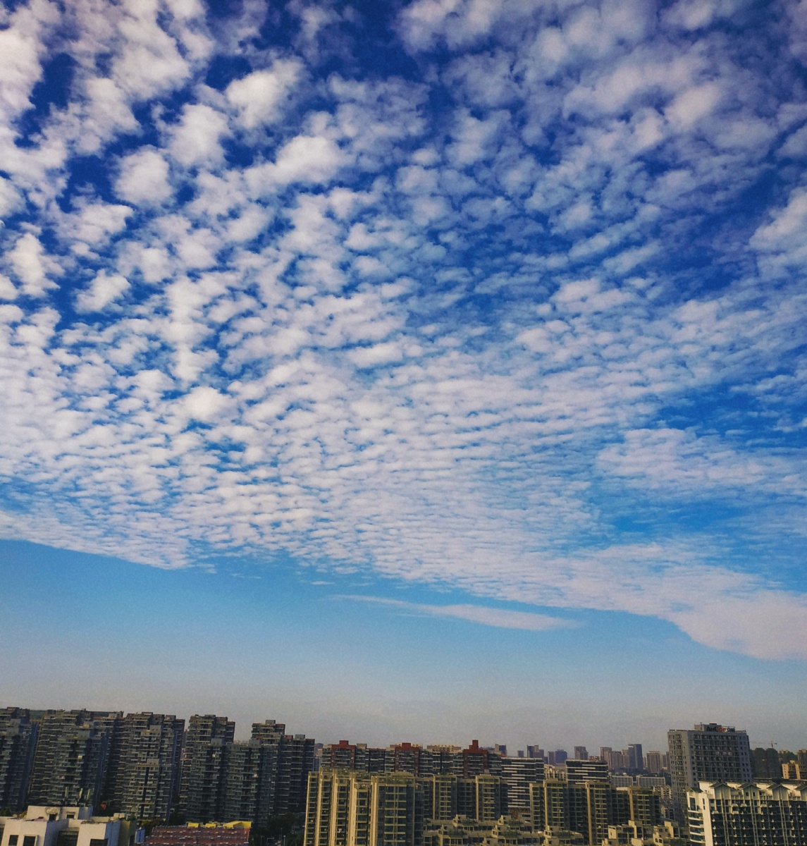 一枪狙在你心上