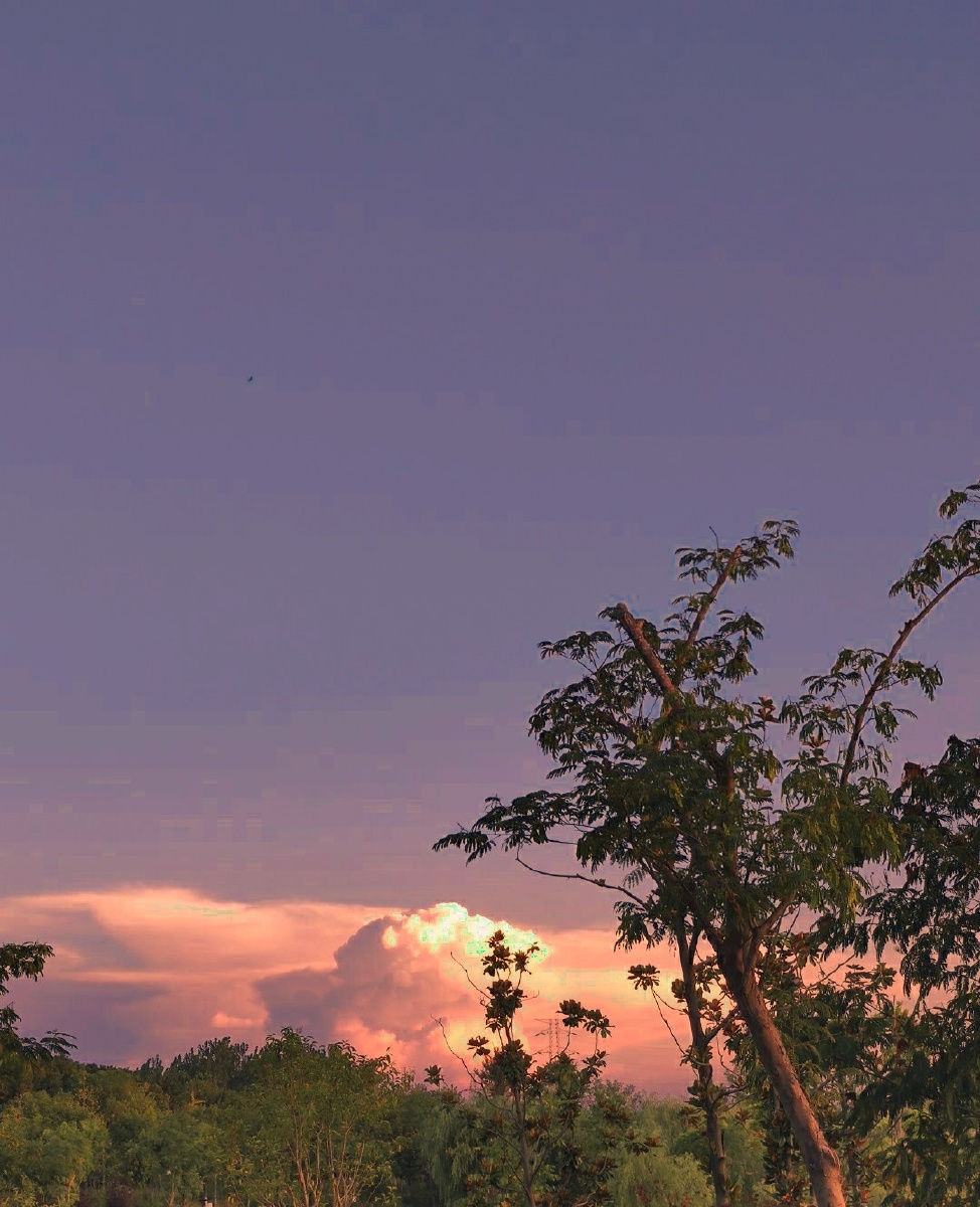 一枪狙在你心上