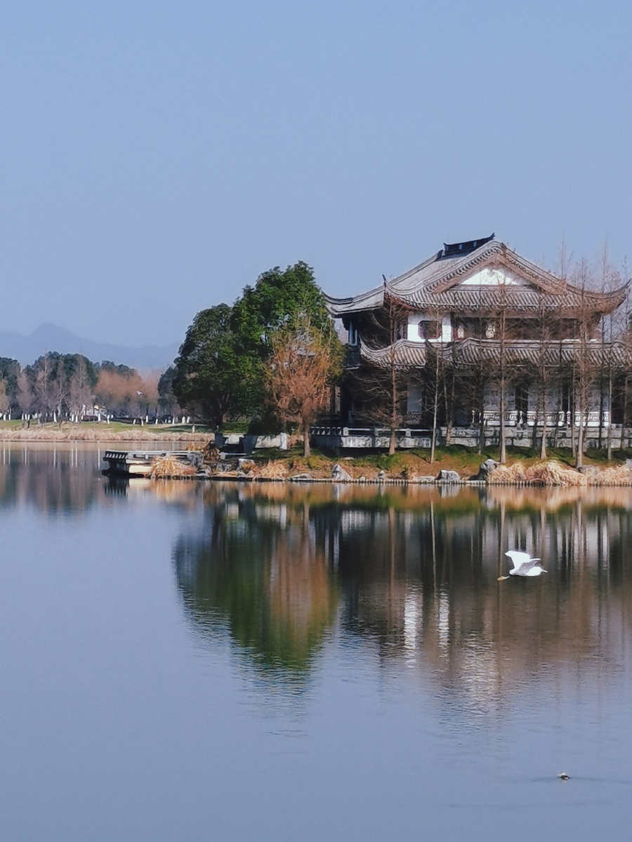 西塞山前白鹭飞,桃花流水鳜鱼肥 - gy351238 - 图虫