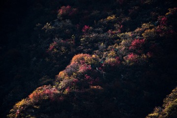 _D8B7677