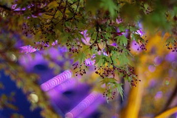 _MG_0542_tonemapped