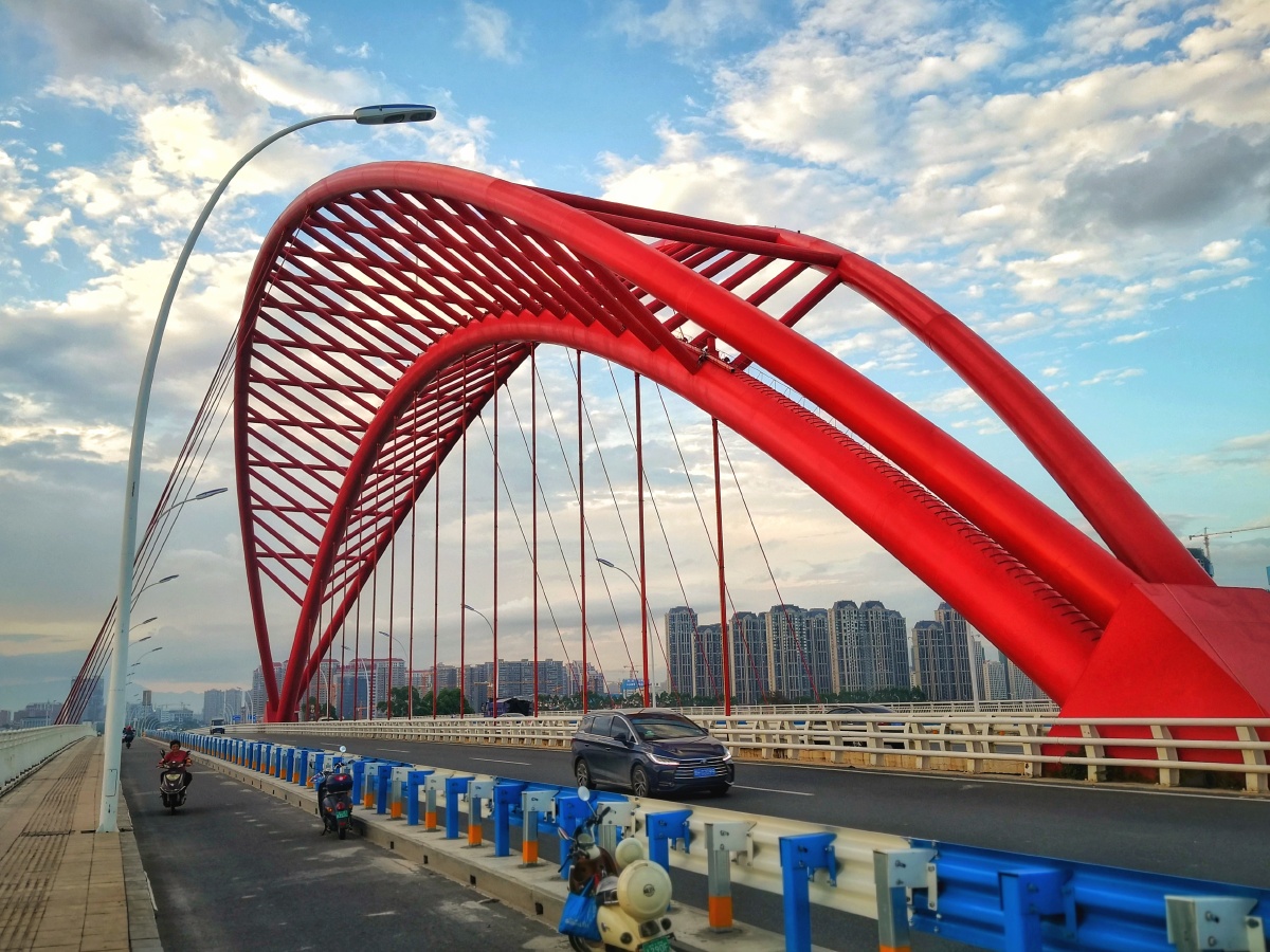 九龙江傍的唱晚.阳光直射下的花朵奥运中心体育馆暮色之下的游泳健将.