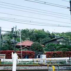 754501