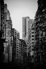 1000161604