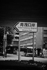 1000161603