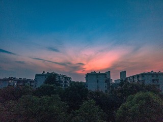 1000035331