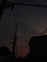 5015056