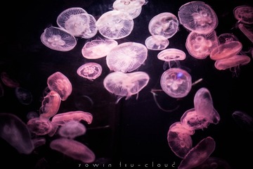 _DSC0401