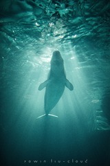 _DSC03691