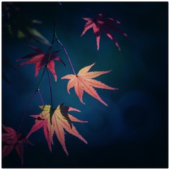 CC550E6F-3040-49AC-A610-67B55A5A7114/L0/001