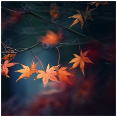 F7DE878D-5C01-49F3-81FA-FFAFCD2EAD4E/L0/001