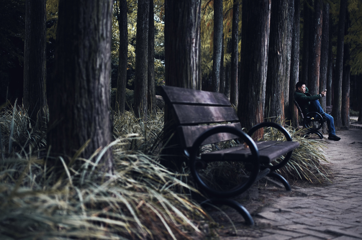 周末,公园里正在玩手机的游人.