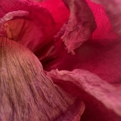 A7DFF00E-3D1B-45C8-B476-B69548245EA1/L0/001