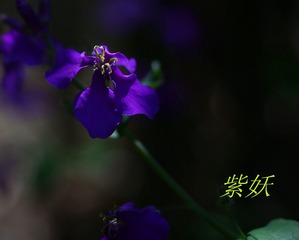 7E8A0027_??