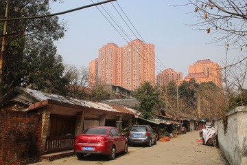 LTAO0056