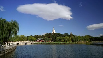 DSC04317___