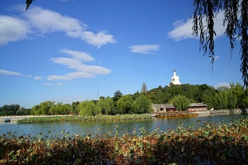 DSC04349_