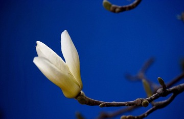 DSC08152_