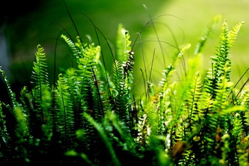 DSCF3209_