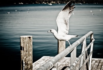 15D19253-752F-47AE-A4CC-2E57F566966C/L0/001