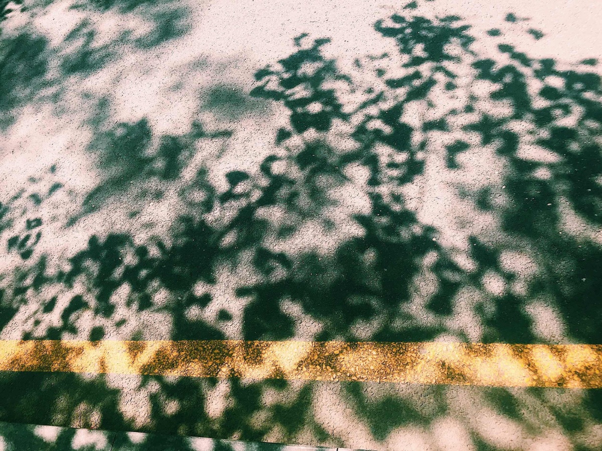 斑驳的树影该是夏天