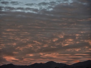 1406929