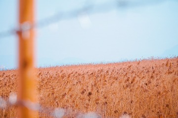A02D2D11-EC0B-41B7-9ED0-86D9EECE6064/L0/001